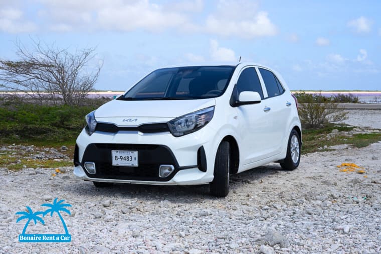 Car rental Bonaire Kia Picanto Front left View